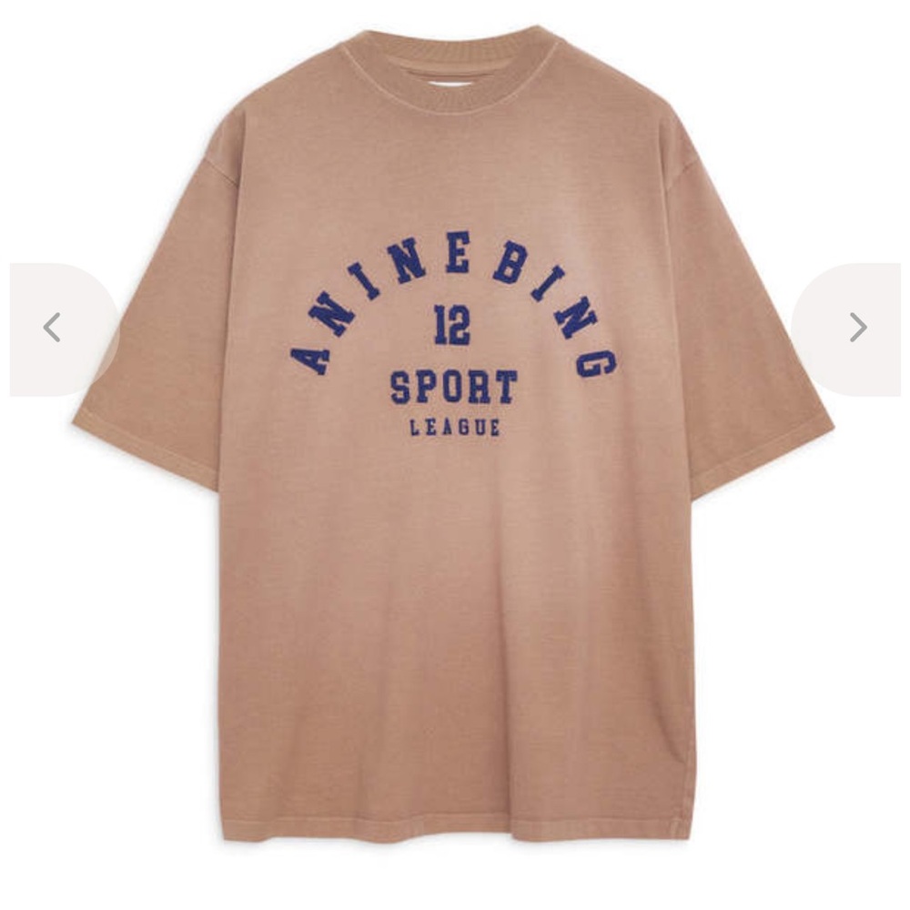 Anine Bing Brown Short Sleeve Tee